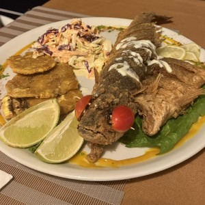 Corvina frita