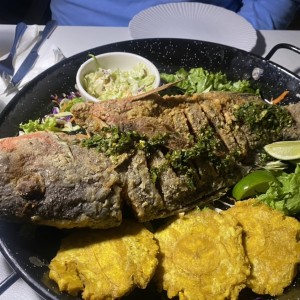 Pescado Frito Pargo Rojo