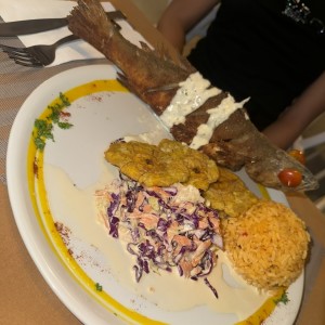 Corvina frita