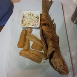 Pescado - Corvina