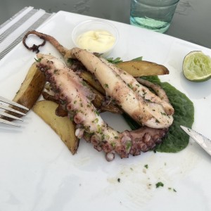 Mar profundo - Pulpo al Grill