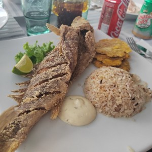 Corvina frita