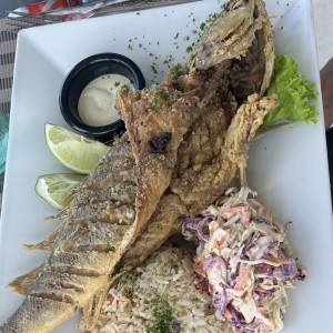 Corvina
