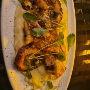 Pulpo