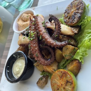 Pulpo