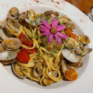 Spaguetti alle Vongole
