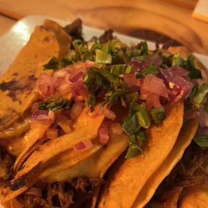 Quesatacos de Birria (Res)