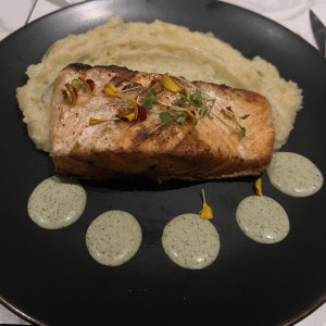 Salmon 