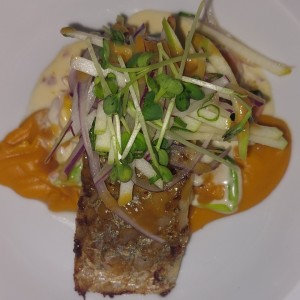 corvina