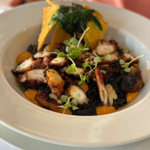 Pulpo