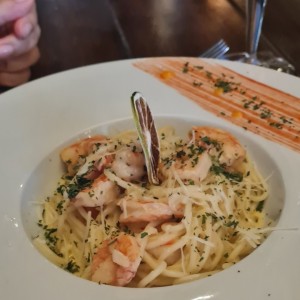 Pastas - Shrimp Scampi