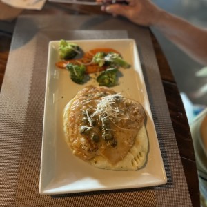 Pollo