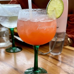 Gin tonic frutos rojos