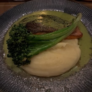 Salmon