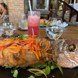 Corvina