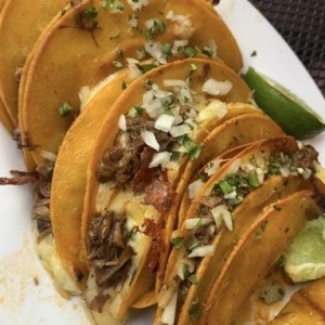 Birria - 6 Quesatacos