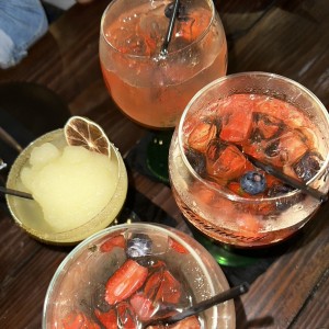 Gin tonics y margarita