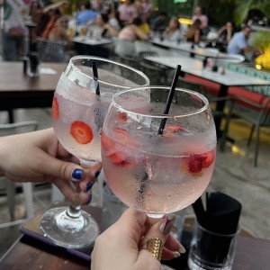 Promo de Gin Tonic