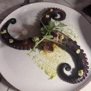 Pulpo
