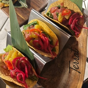 Platos Frios - Tacotropic