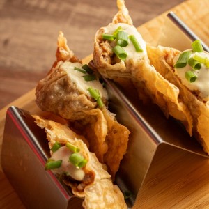 wonton nuevos