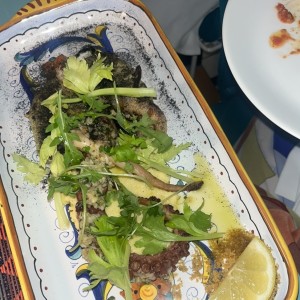 Pulpo