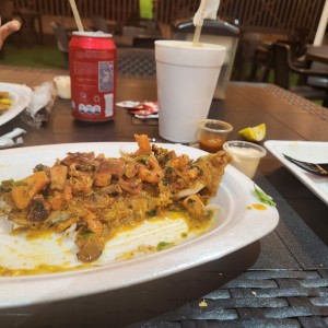 corvina a los macho
