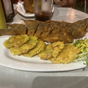 Corvina frita