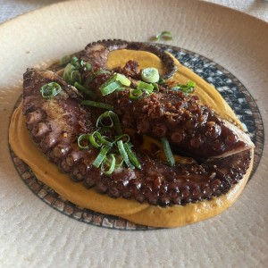 Pulpo