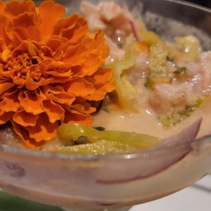 ceviche 