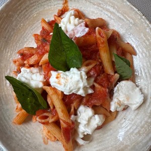 Pastas - Penne Tomate