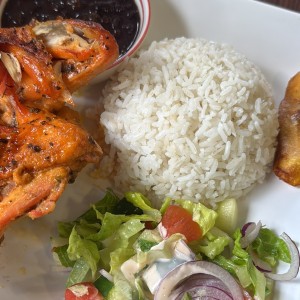 Plato del día - 1/4 Pollo al horno + 3 Acompañantes