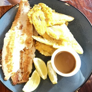 Pescado Fresco Blanco Catch Of The Day