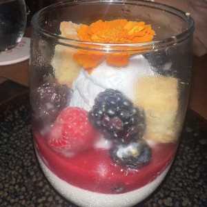 Pannacota