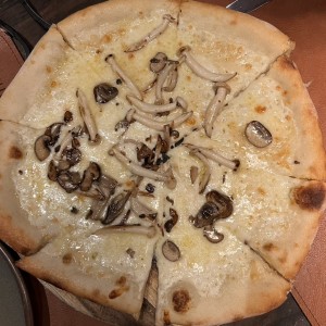 Funghi e tartufo nero