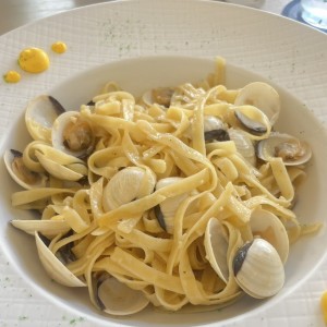 Pastas - Pasta Vongole