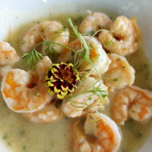 Camarones