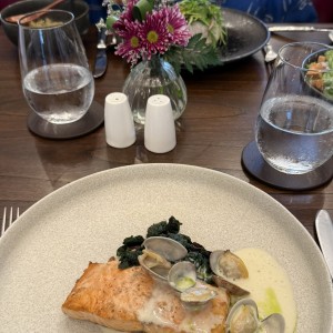 Salmon 