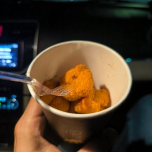 Chicken Popcorn