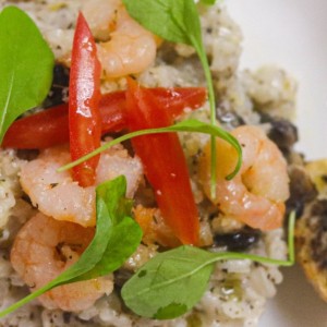 Risotto