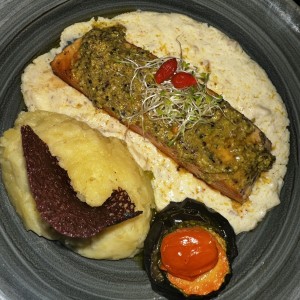 Salmon 