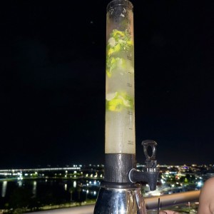 Mojito