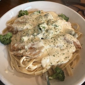 Amazing Alfredos - Chicken Alfredo