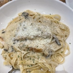 Pasta con salsa de hongos y pollo