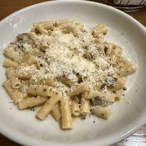 Ziti hongos 