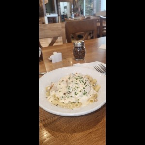 Amazing Alfredos - Chicken Alfredo