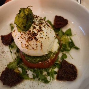 Burrata