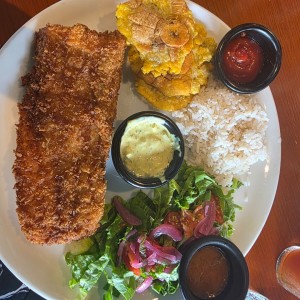 Corvina Apanada