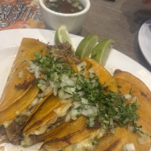 Orden de tacos de birria