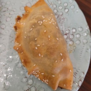 Empanada de Ropa Vieja